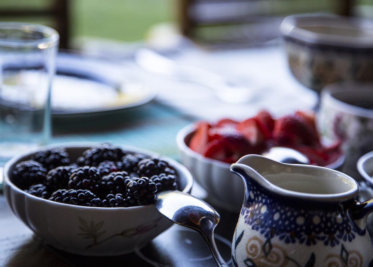 East Hampton Art House Bed And Breakfast Eksteriør billede